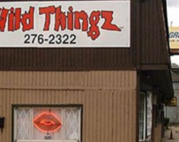 Pittsburgh Strippers - Wild Thingz Entertainment - Nightclub in Pittsburgh, United States