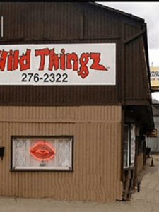 Pittsburgh Strippers - Wild Thingz Entertainment - Nightclub in Pittsburgh, United States