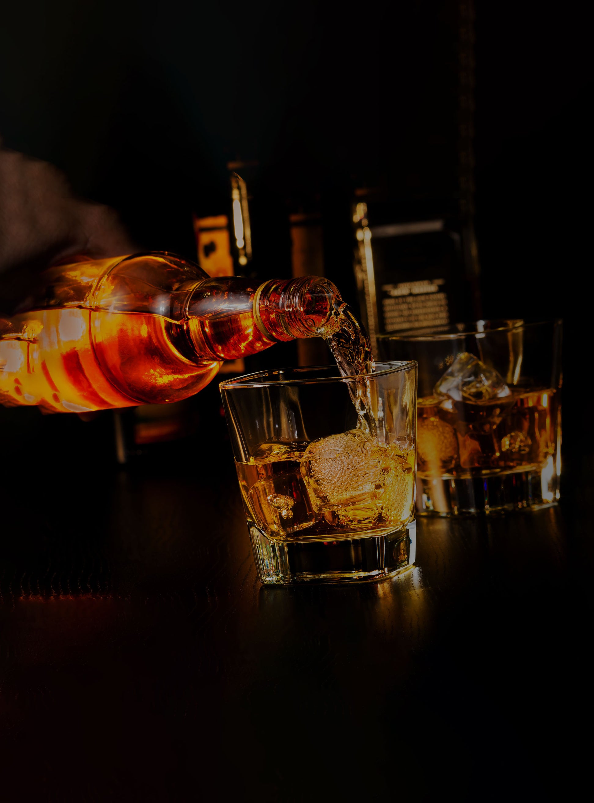Xs Afterhours - Nightclub in Wilmington, United States